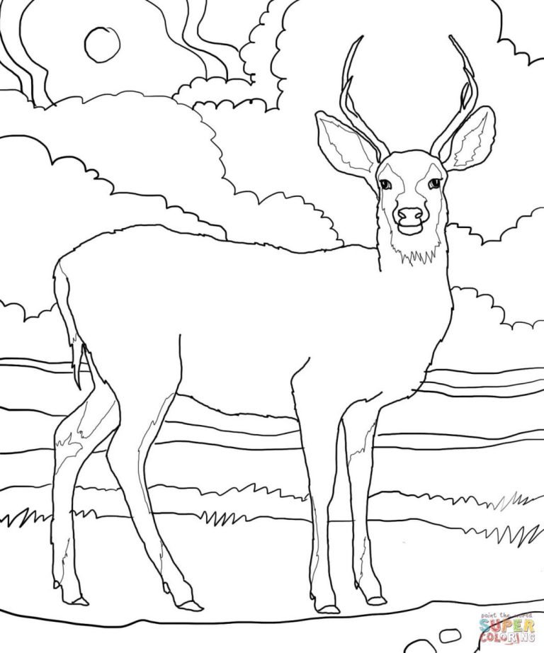 Coloring Pages Of Deer Heads