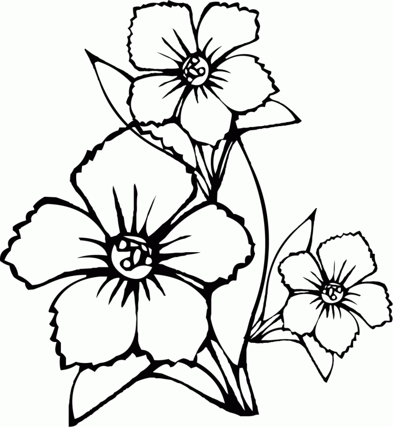 Easy Flower Coloring Pages
