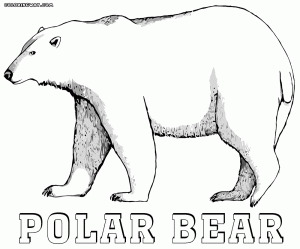 Polar bear coloring pages Coloring pages to download and print