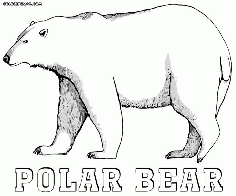 Coloring Page Of A Polar Bear
