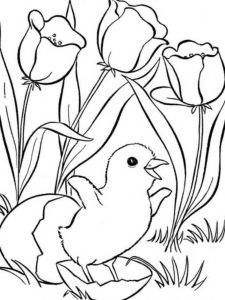 Spring Coloring Pages And Dozens More Free Printable Coloring Themes