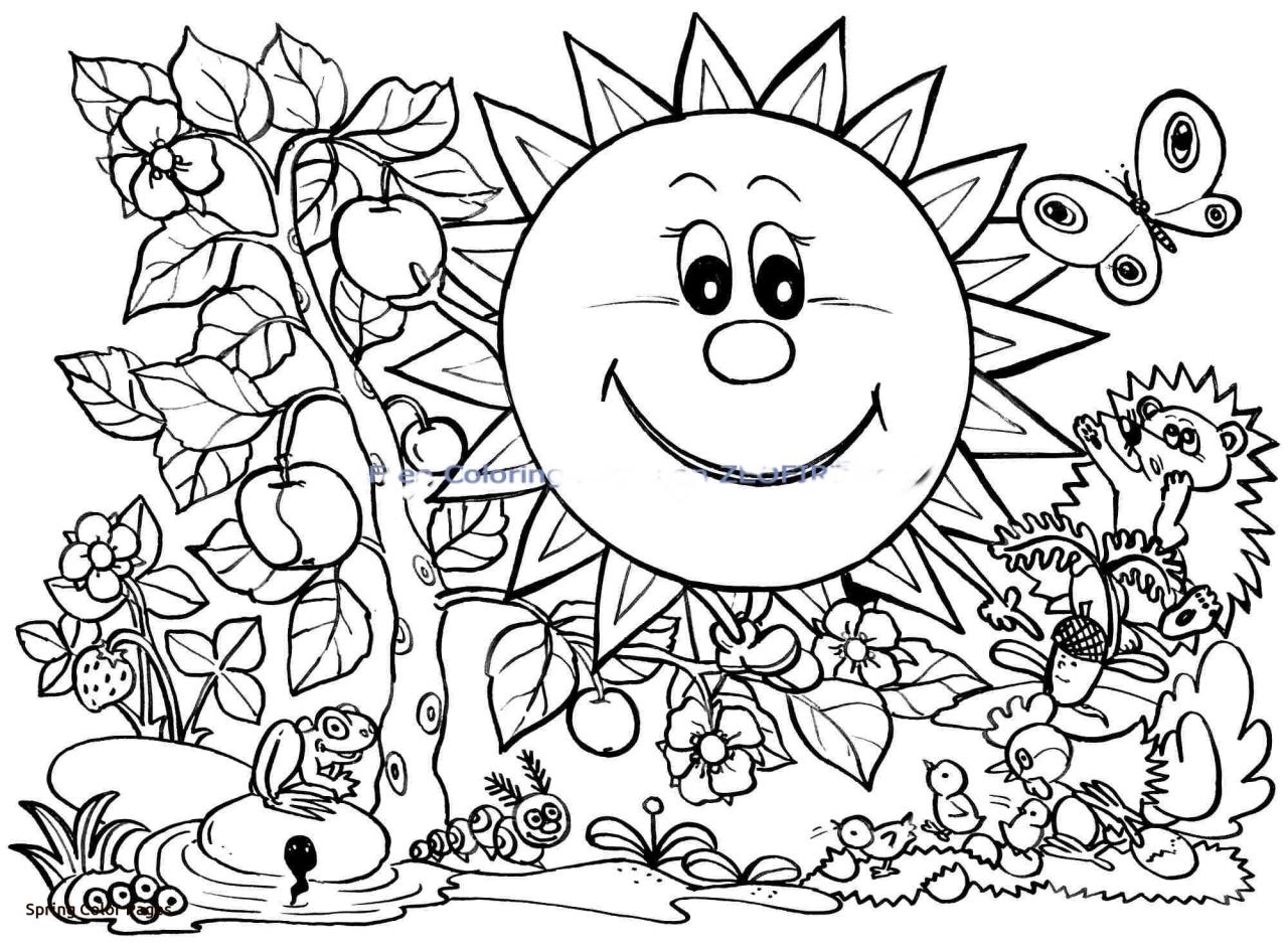 Spring Coloring Pages Printable Pdf