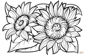 Sunflowers coloring page Free Printable Coloring Pages