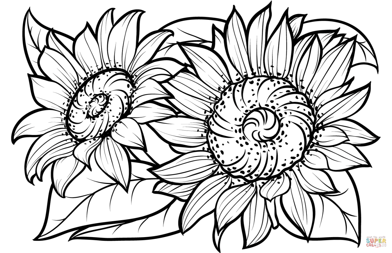 Coloring Pages Sunflowers