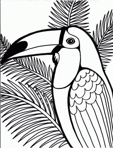 Bird Coloring Pages Coloring Pages To Print