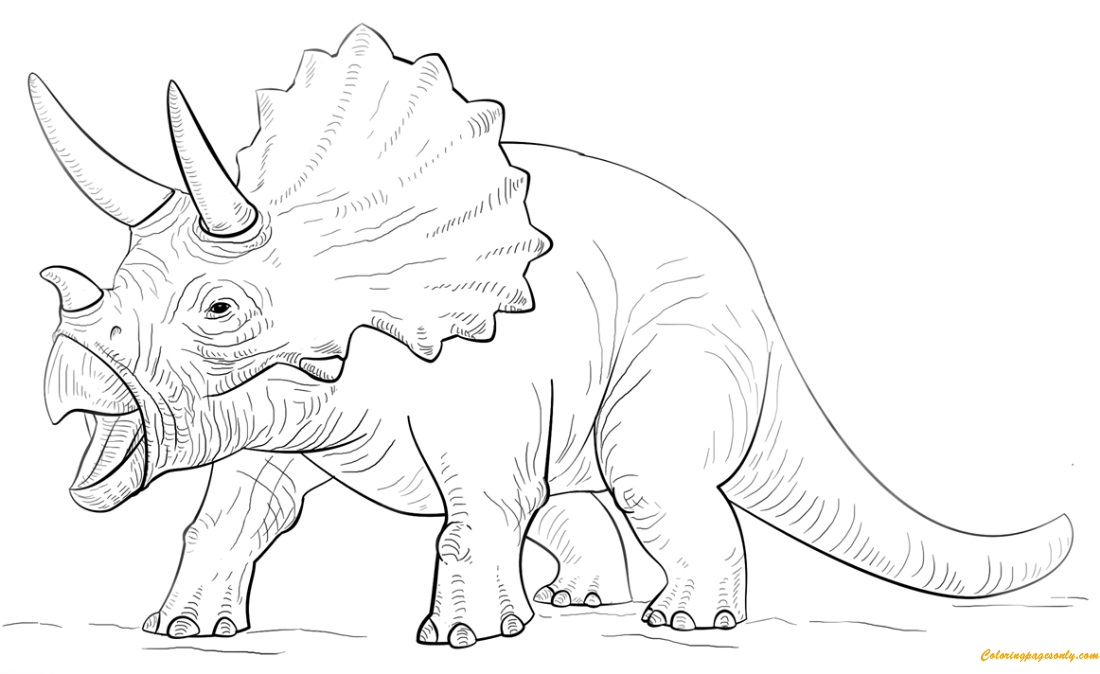 Triceratop Dinosaur Coloring Pages Dinosaurs Coloring Pages Free