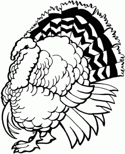 49+ Best stock Wild Turkey Coloring Page Realistic Turkey Coloring