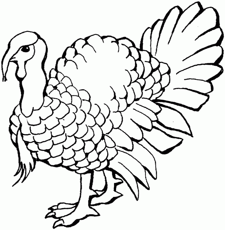 Free Printable Coloring Pages Thanksgiving Turkey