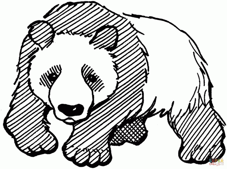 Coloring Page Panda