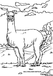 Coloring Page Alpaca / Llama Animals Free Coloring Pages Coloring