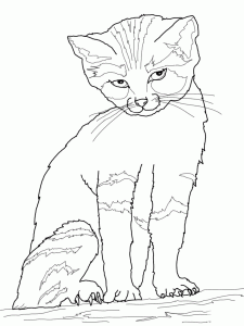 Free Coloring Pages Dog And Kat Coloring Home
