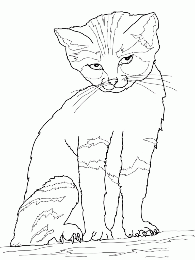 Printable Coloring Pages Of Cats And Dogs