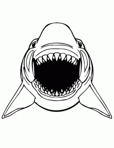Whale Shark Coloring Pages kalugafoto
