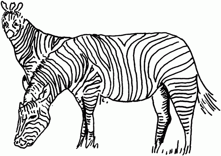 Zebra Coloring Pictures To Print