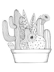 Zentangle Cactus coloring pages for Adults