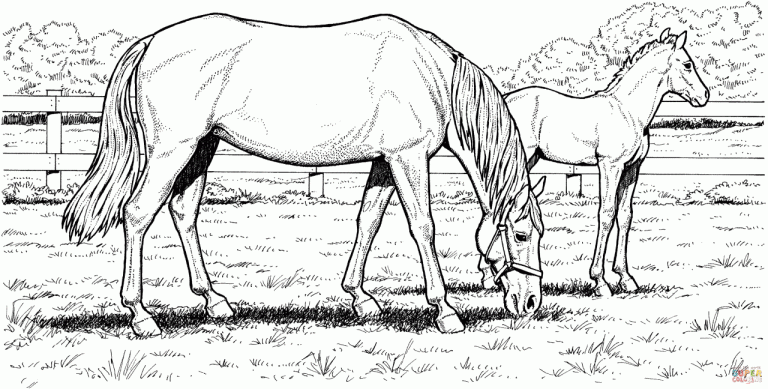 Horse Coloring Pages Printable