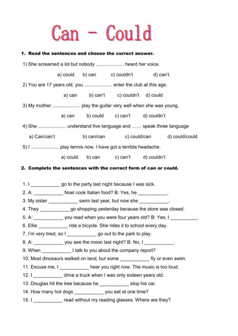 Can Could Worksheet Pdf