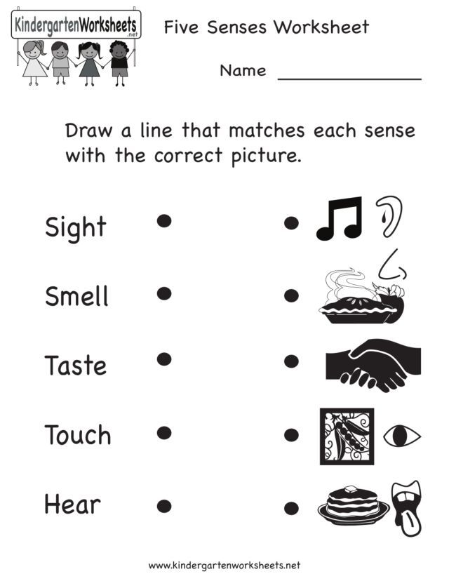 5 Senses Worksheet For Kids