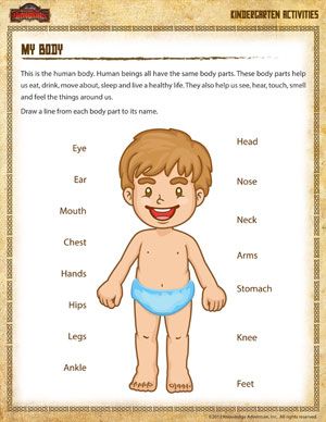 Preschool My Body Worksheet For Kindergarten