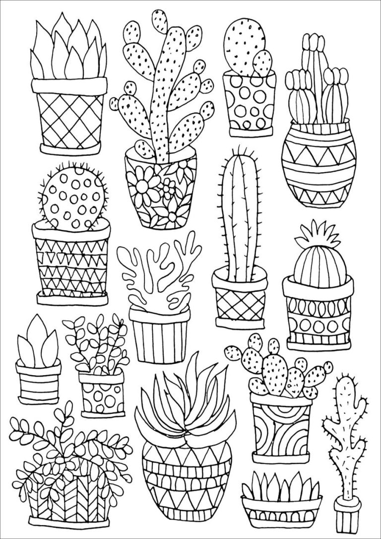 Succulent Coloring Page
