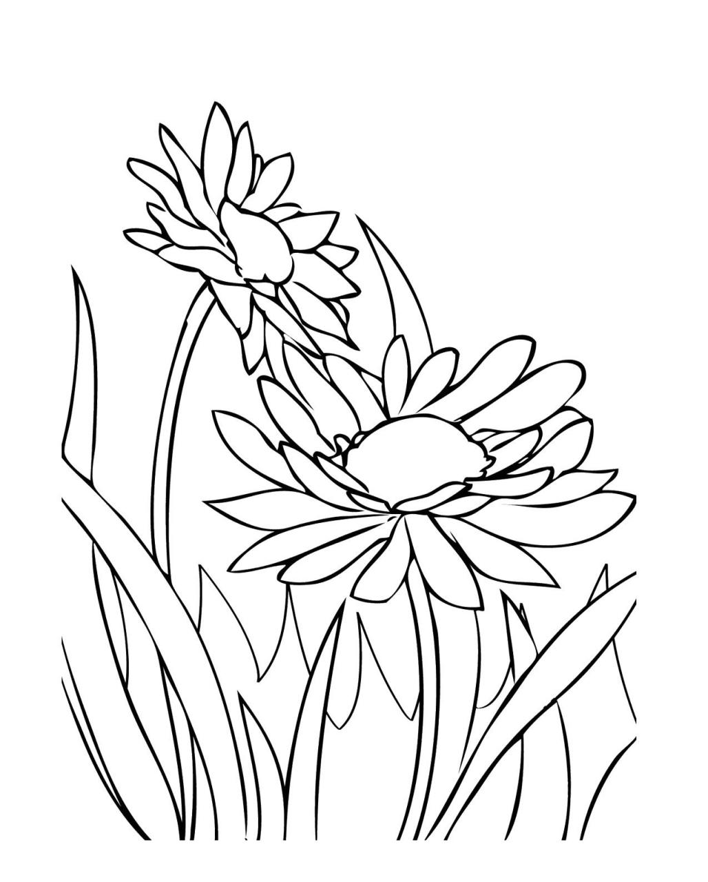 Growing Spring Flowers Coloring Pages Flower coloring pages, Flowers