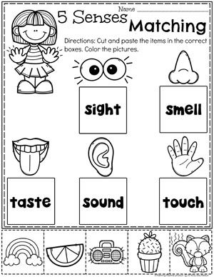 Matching Five Senses Worksheet Preschool
