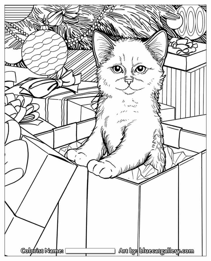 Cat coloring book, Christmas coloring pages, Cat
