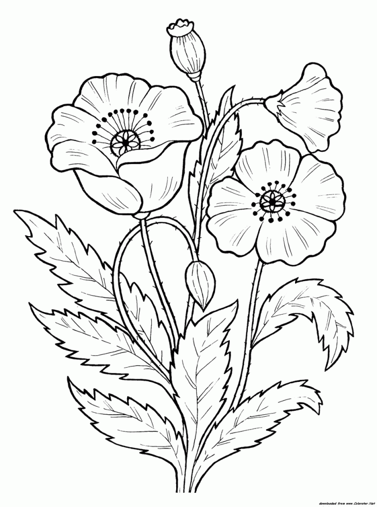 Coloring Pages Poppy