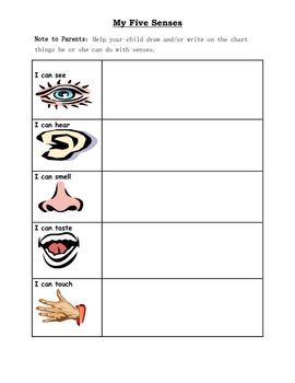 Printable 5 Senses Worksheet For Grade 1