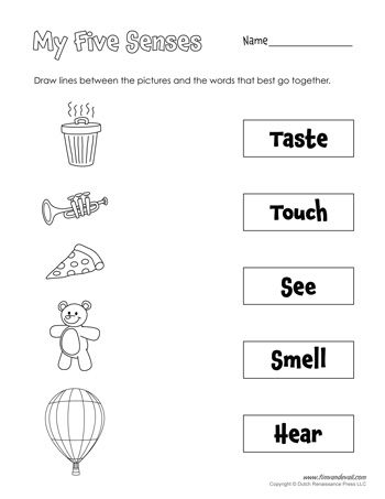 Preschool Five Senses Worksheet For Kindergarten