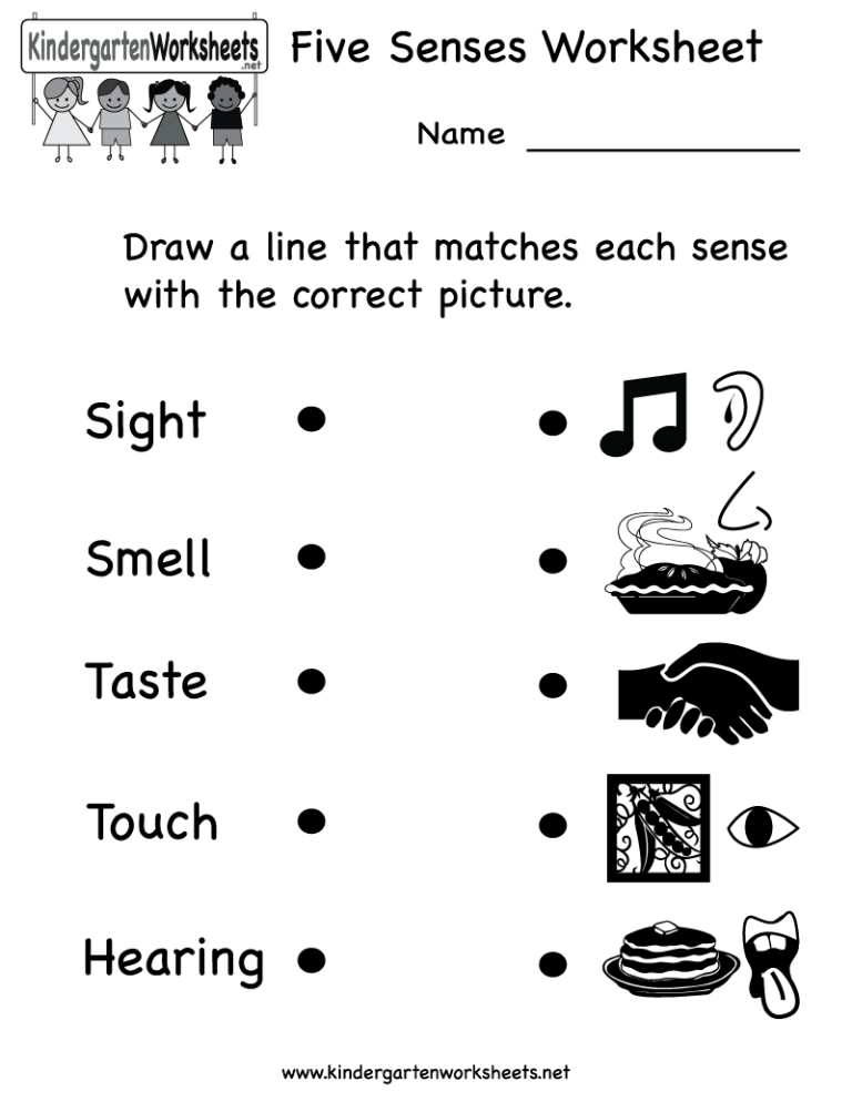Printable Senses Worksheet For Kindergarten