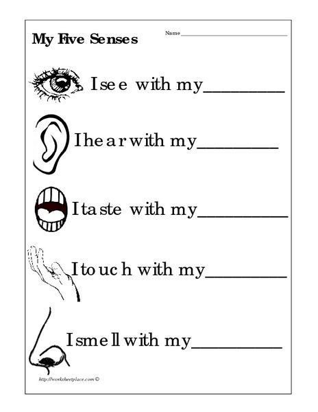 Printable 5 Senses Worksheets Pdf