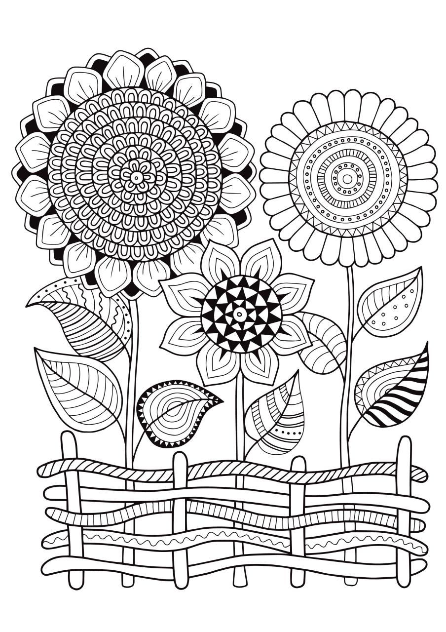 Mindfulness Coloring Mindfulness colouring, Pattern coloring pages