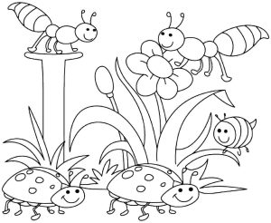 Springtime coloring pages to download and print for free