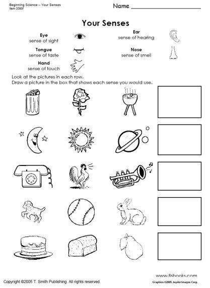 Five Senses Worksheet For Grade 1