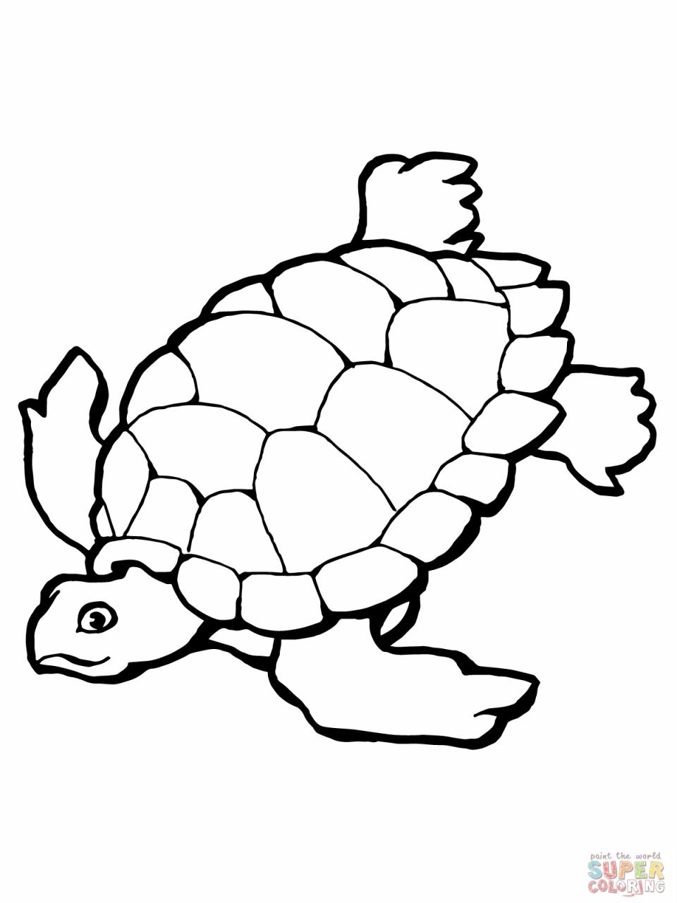 Sea Turtle Color Page