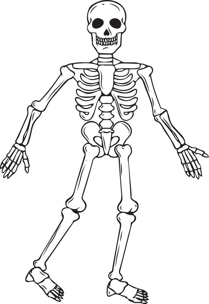 Coloring Pages Skeleton