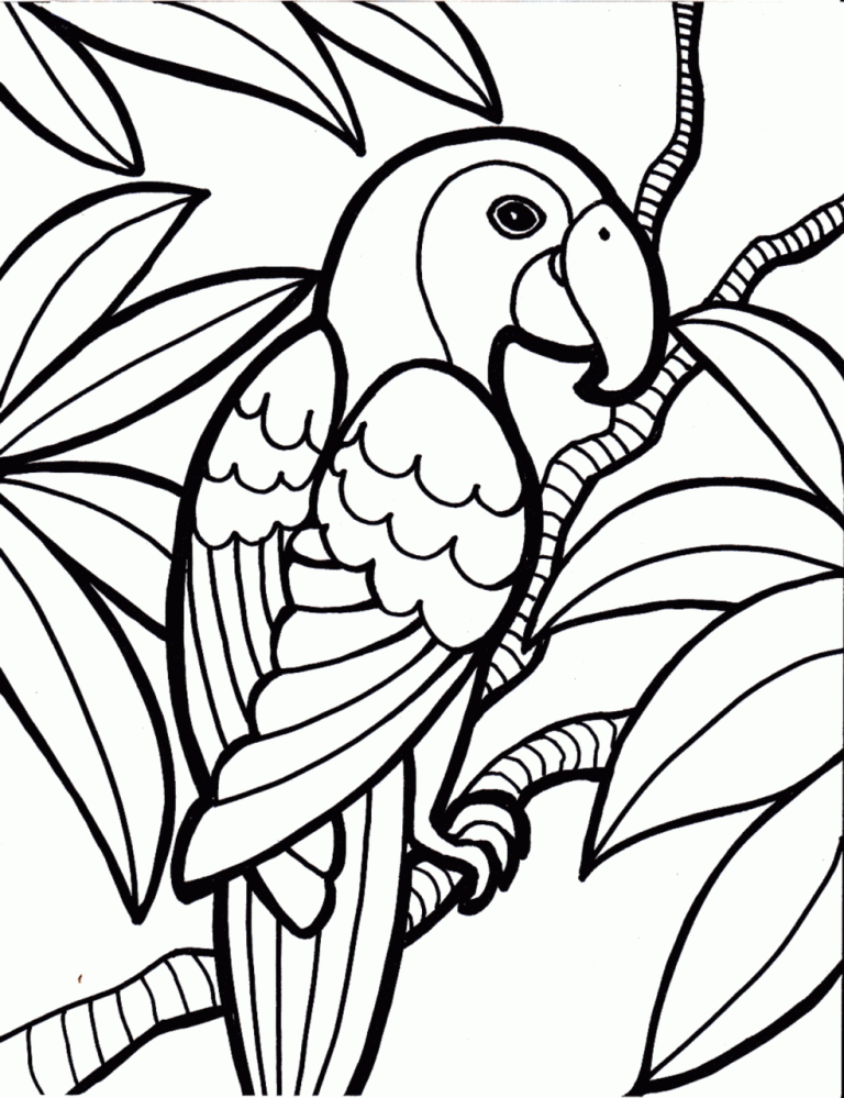 Coloring Pages Bird