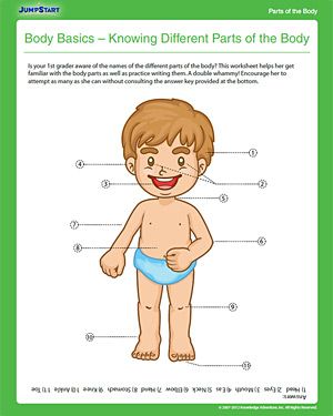 Human Body Science Worksheets For Grade 1 Body Parts