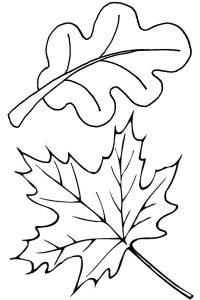 Autumn Leaves in Autumn Coloring Page Color Luna