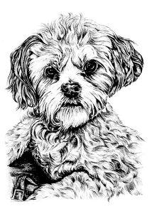 Dog for kids Dogs Kids Coloring Pages
