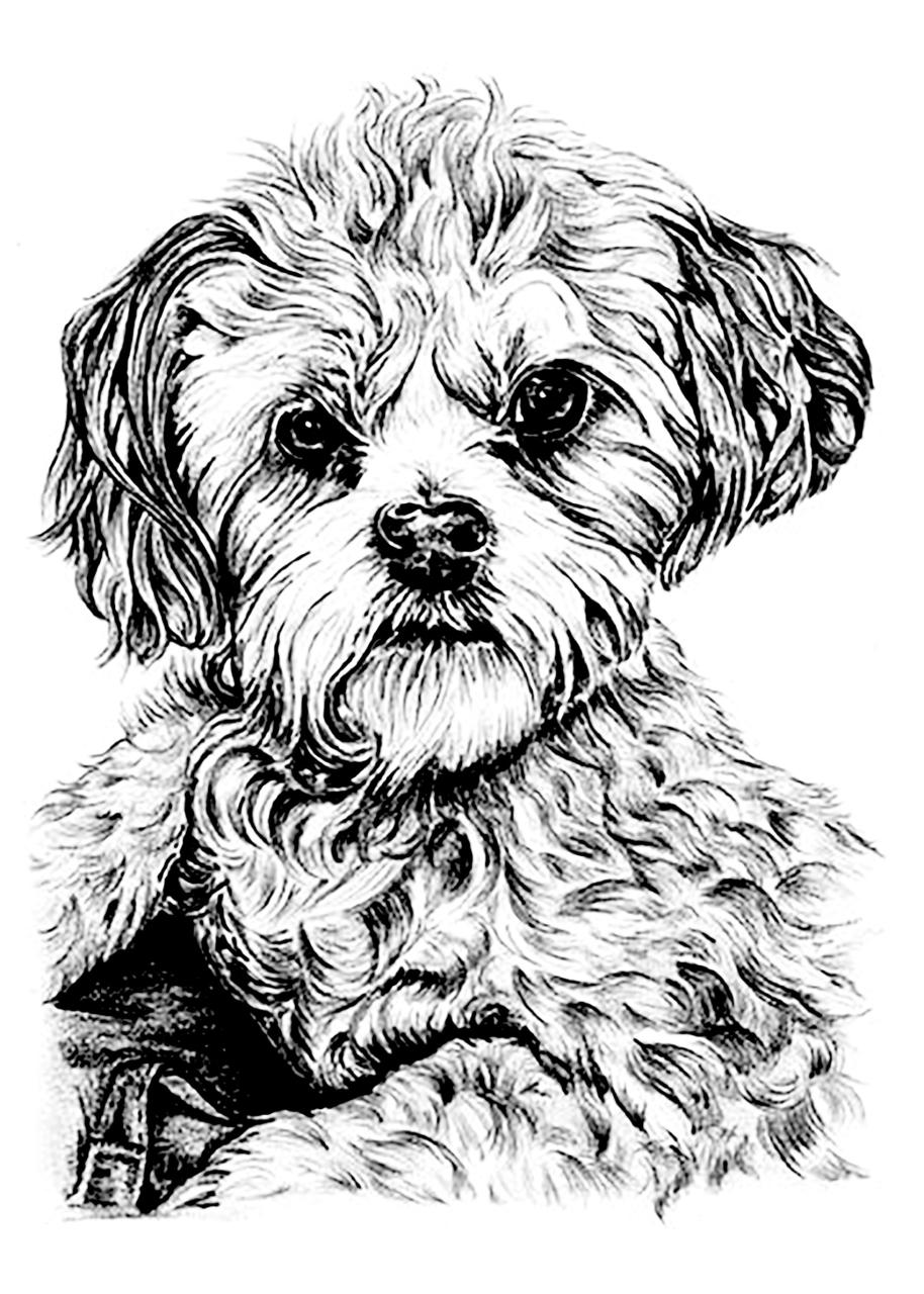 Doggie Coloring Pages