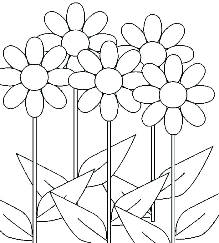 Coloring Pages Daisy