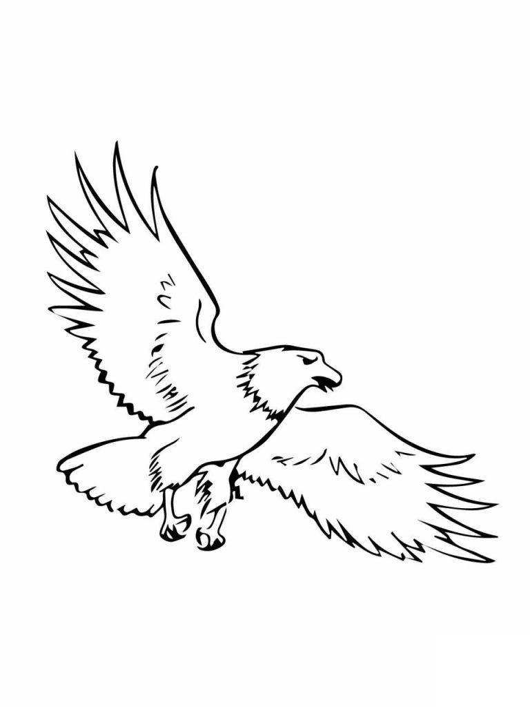 Coloring Pages Of Bald Eagles