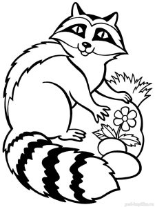 Raccoon coloring pages. Download and print Raccoon coloring pages