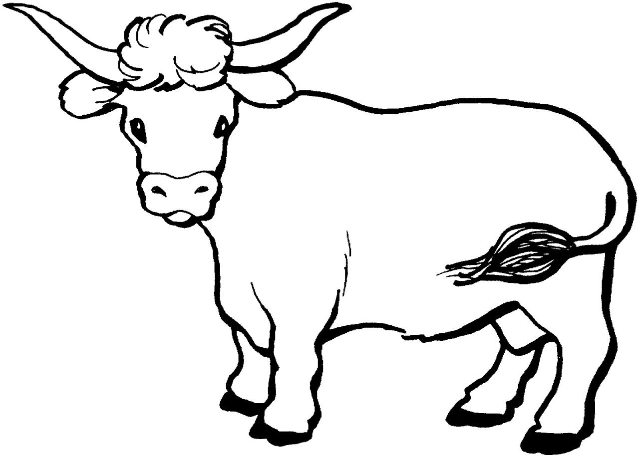 Cattle Coloring Pages ClipArt Best