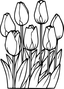 Seven Tulips Coloring Page
