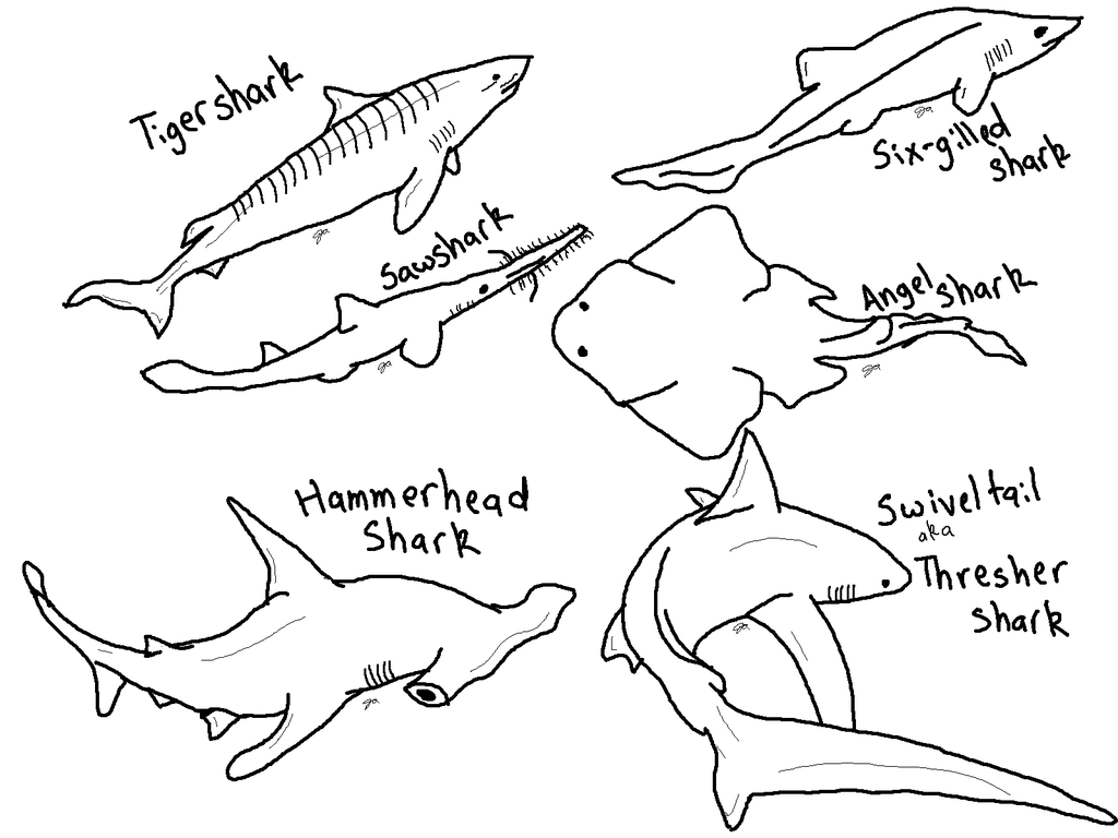Coloring Pages Sharks Printable