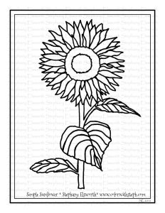 Simple Sunflower Free Coloring Page Color with Steph