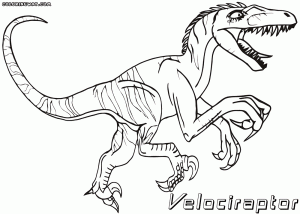 Velociraptor coloring pages Coloring pages to download and print